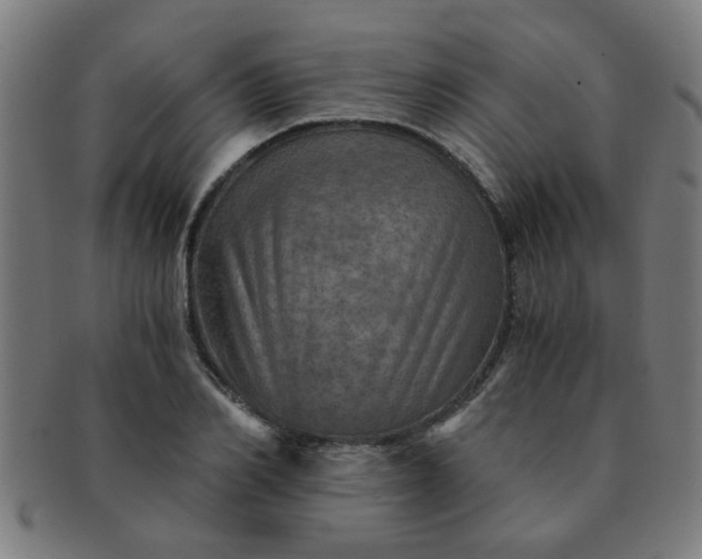 X0000091360982200708241306