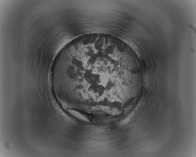 X0000091360983200708241306