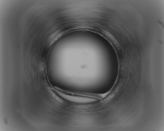 X0000091360985200708241306