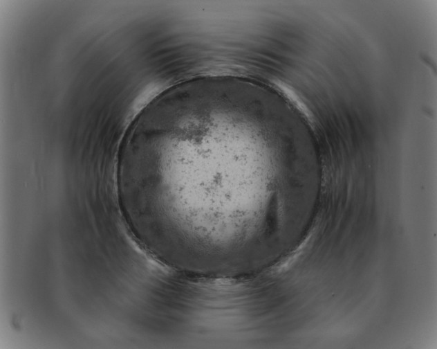 X0000091360986200708241306