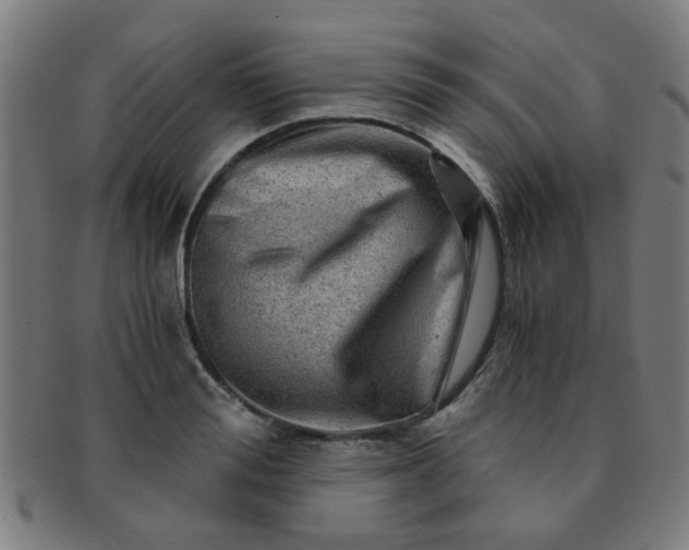 X0000091360988200708241306