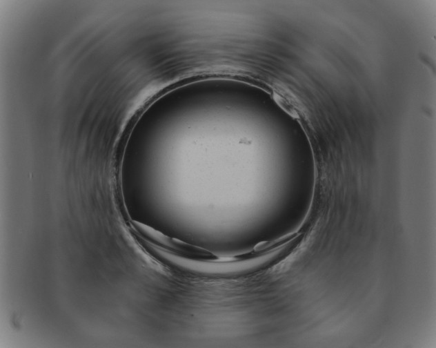 X0000091360989200708241306