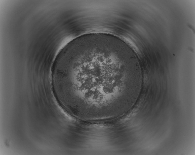 X0000091360990200708241306