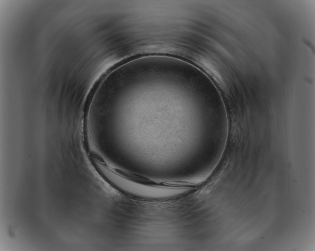 X0000091360992200708241306