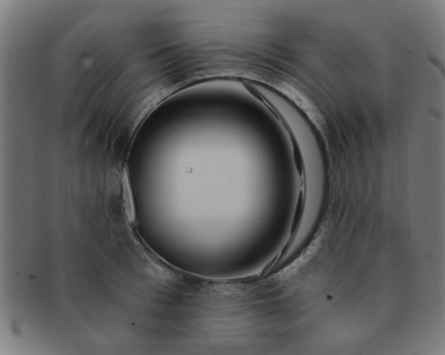X0000091360993200708241306