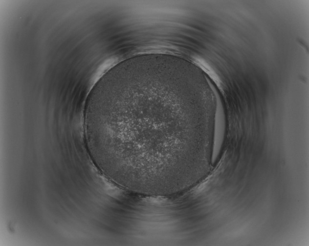 X0000091360994200708241306