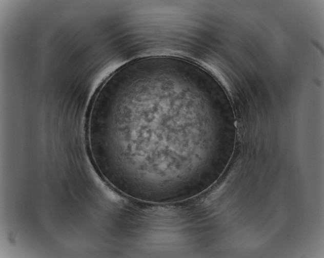 X0000091360995200708241306