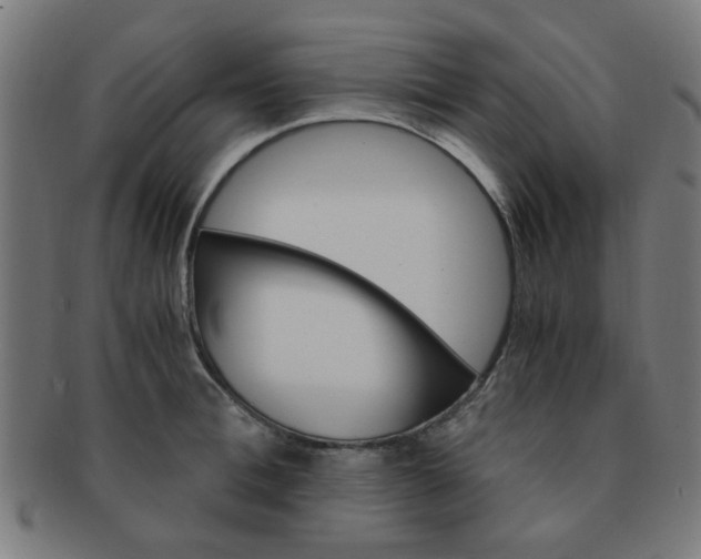 X0000091360996200708241306