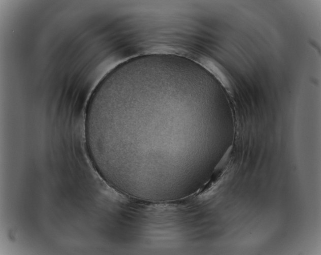 X0000091361000200708241306