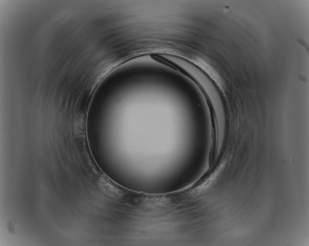 X0000091361001200708241306