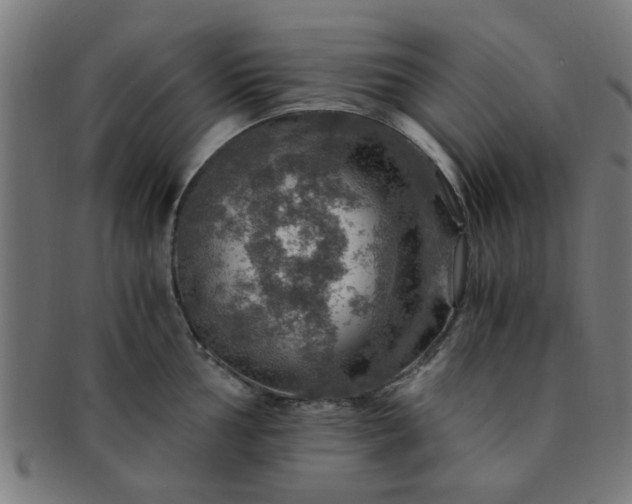 X0000091361002200708241306