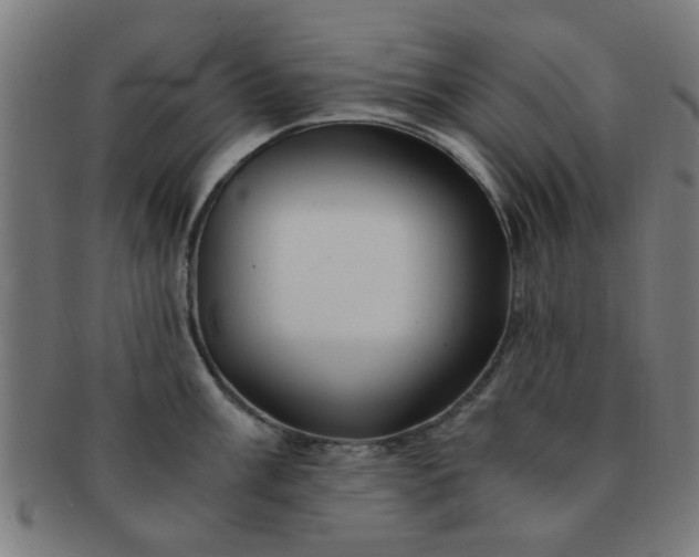 X0000091361003200708241306