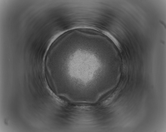 X0000091361004200708241306