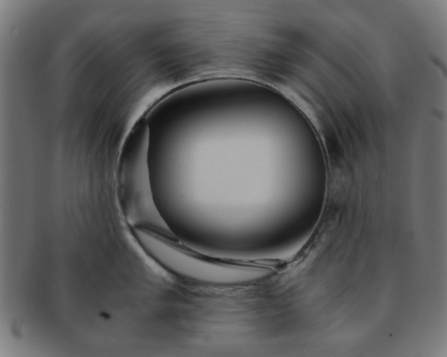 X0000091361005200708241306