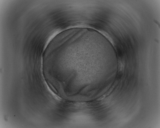 X0000091361006200708241306