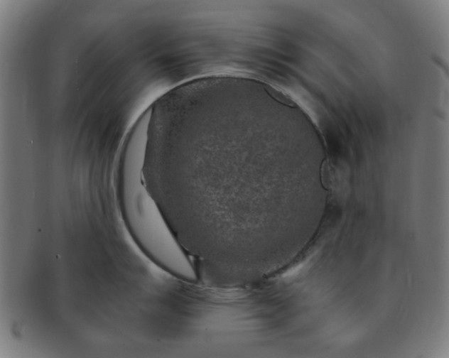 X0000091361007200708241306