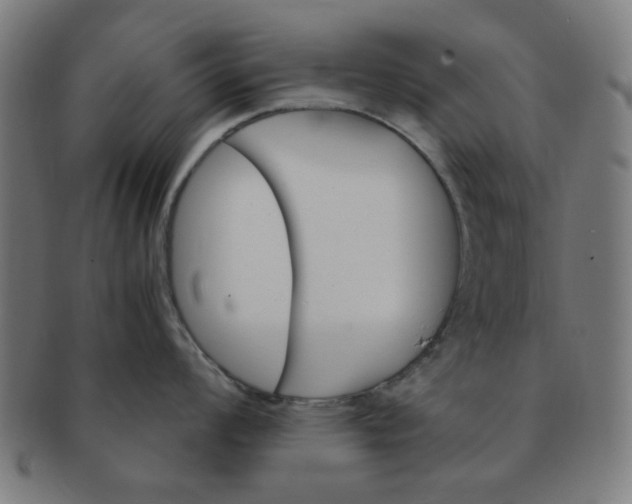 X0000091361008200708241306