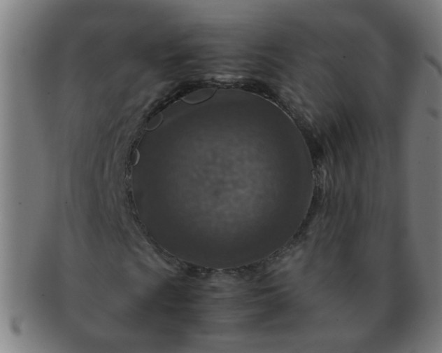 X0000091361009200708241305