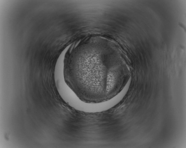 X0000091361010200708241305