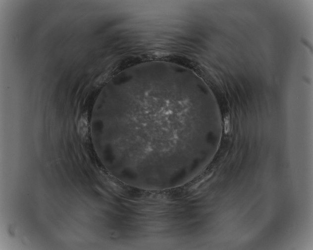 X0000091361011200708241305