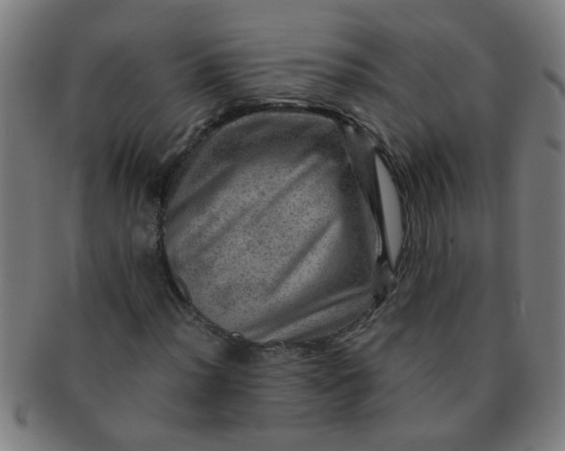 X0000091361012200708241305