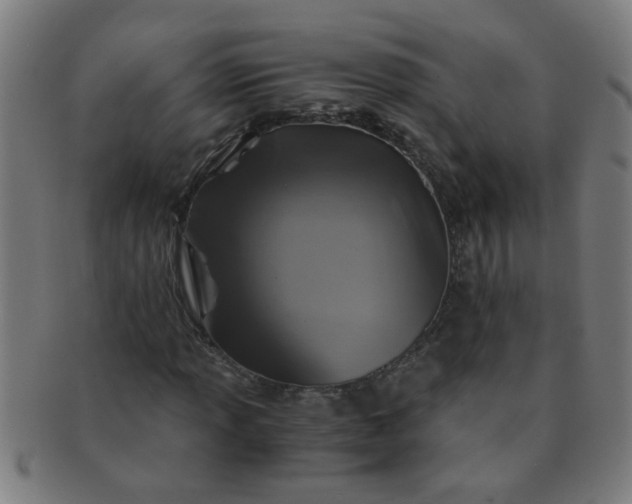X0000091361013200708241305