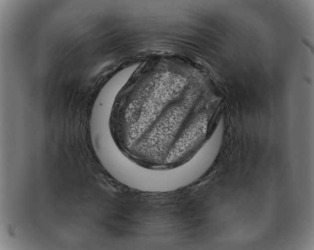 X0000091361014200708241305