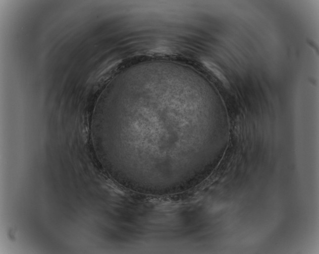 X0000091361015200708241305