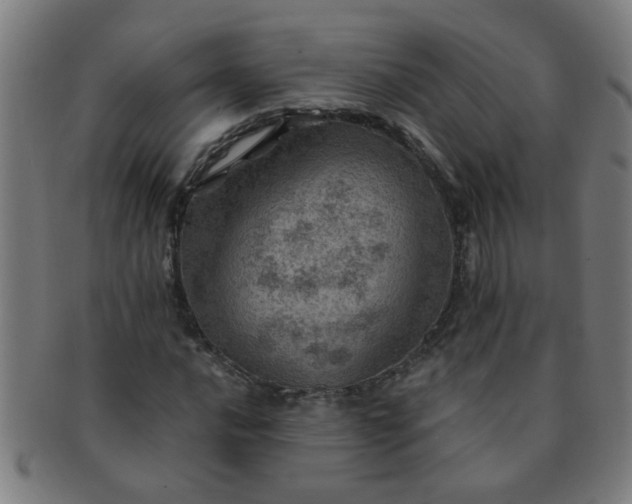 X0000091361016200708241305