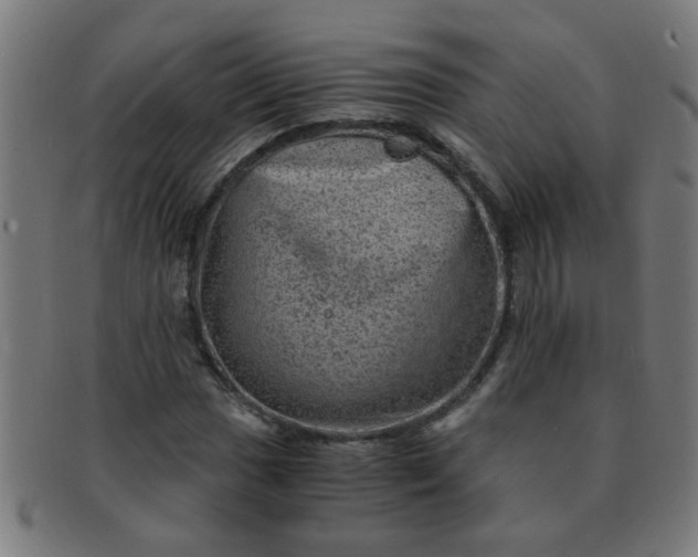 X0000091361017200708241305