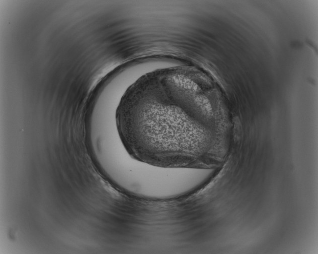 X0000091361018200708241305