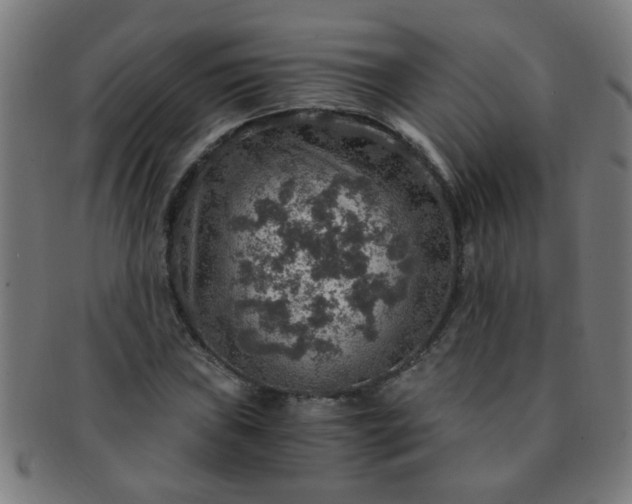 X0000091361019200708241305