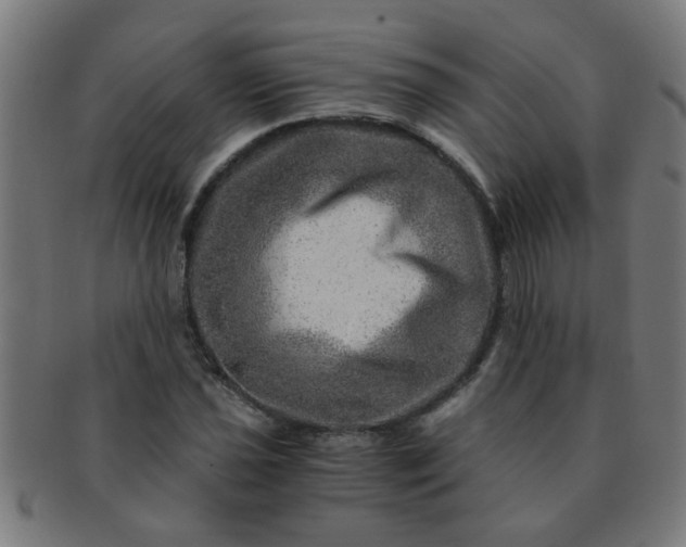 X0000091361021200708241305
