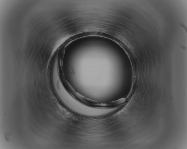 X0000091361022200708241305
