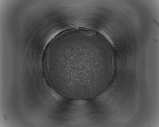 X0000091361023200708241305