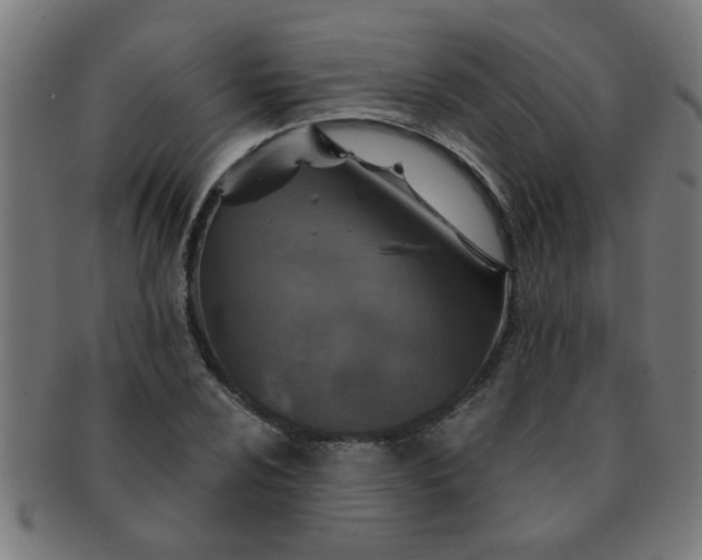 X0000091361024200708241305