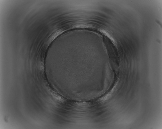X0000091361025200708241306