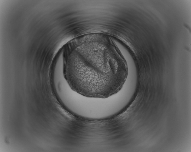 X0000091361026200708241306