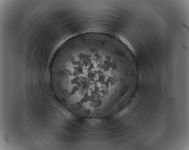 X0000091361027200708241306