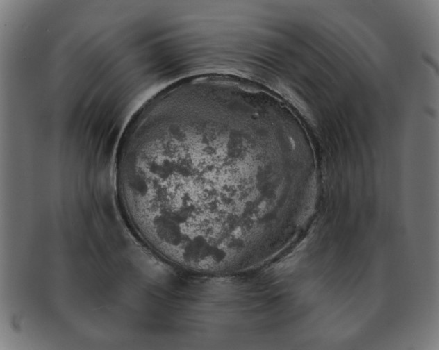 X0000091361028200708241306