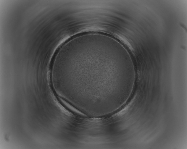 X0000091361029200708241306