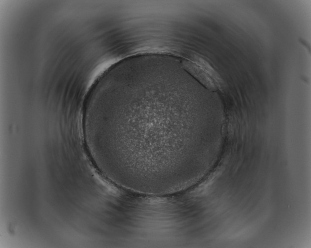 X0000091361030200708241306
