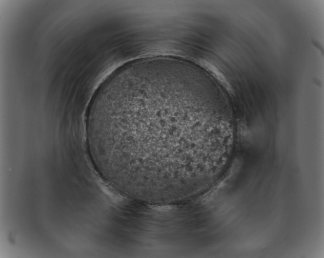 X0000091361031200708241306