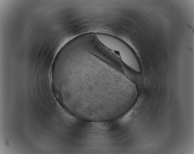 X0000091361032200708241306