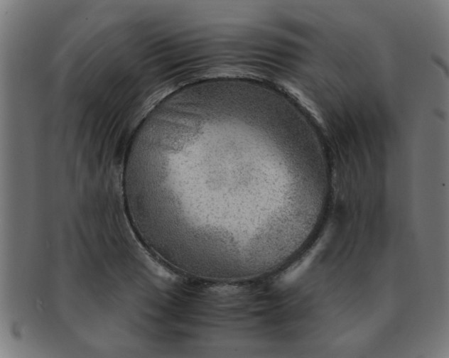 X0000091361033200708241306
