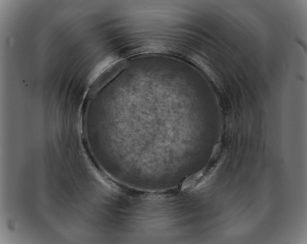 X0000091361034200708241306