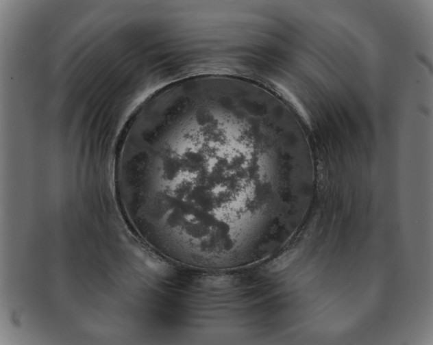 X0000091361035200708241306