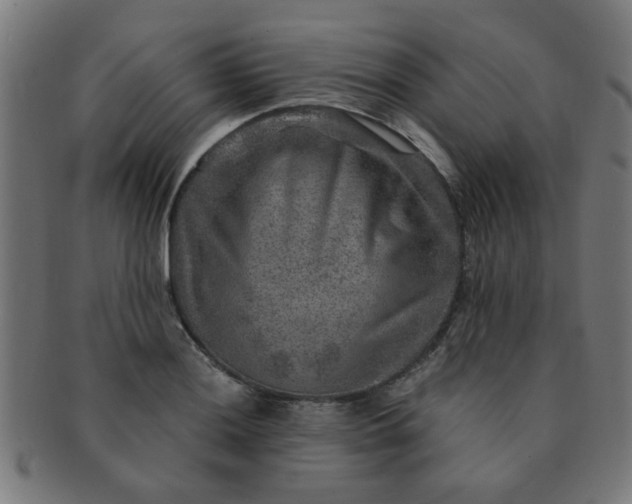 X0000091361036200708241306