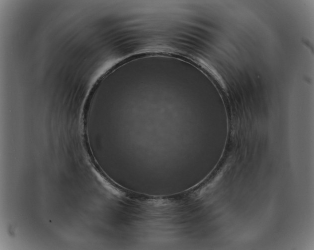 X0000091361037200708241306