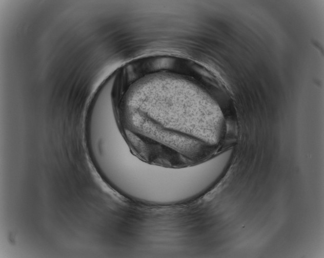 X0000091361038200708241306